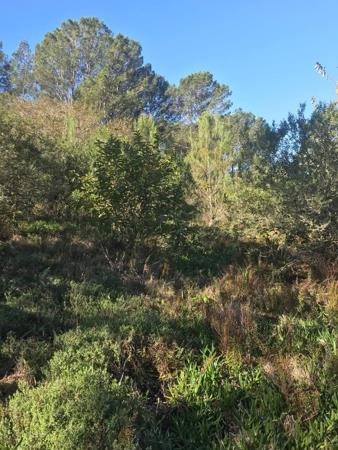 2 067 m² Land