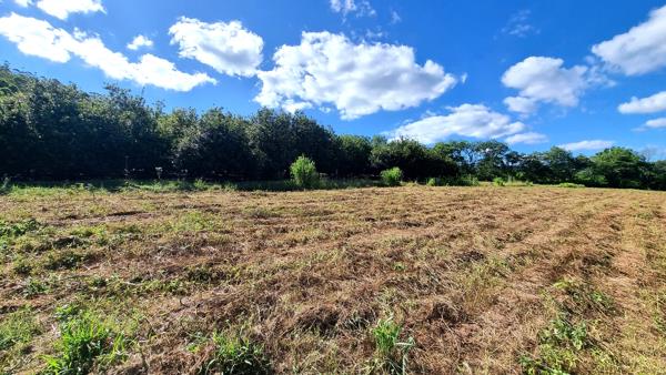 14.6 ha Smallholding