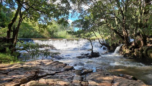 14.6 ha Smallholding