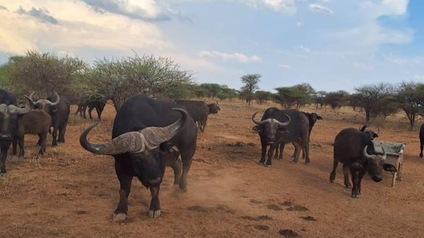 1 050 ha Farm