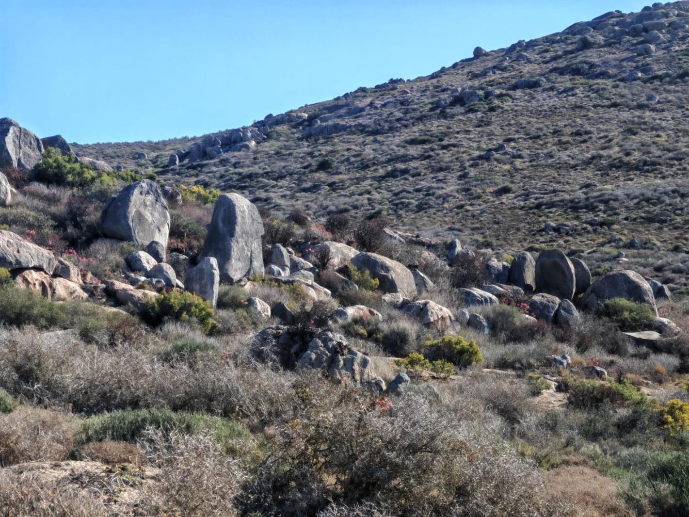 326 m² Land available in St Helena Views