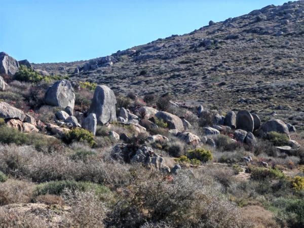 326 m² Land