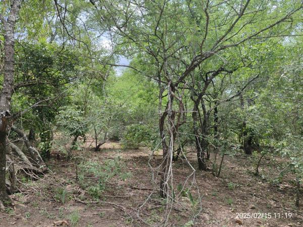 1 900 m² Land