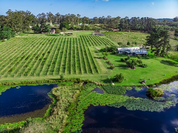 6 ha Farm