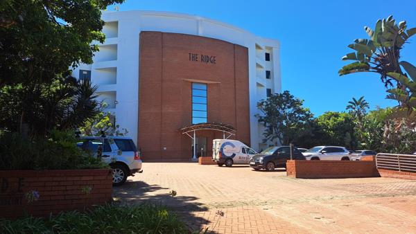 236  m² Office Space