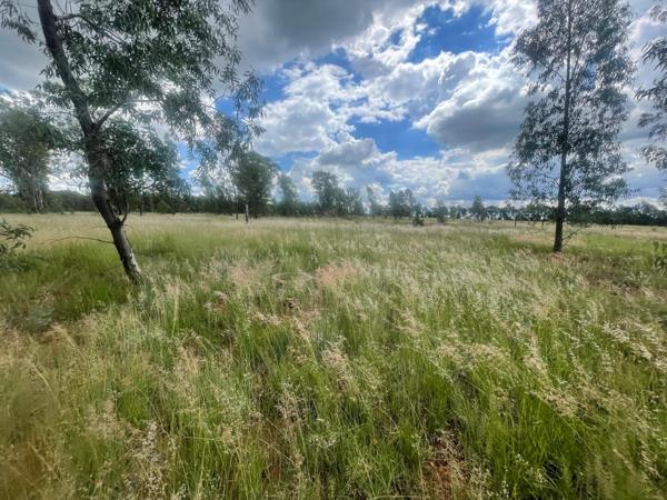 45 ha Land