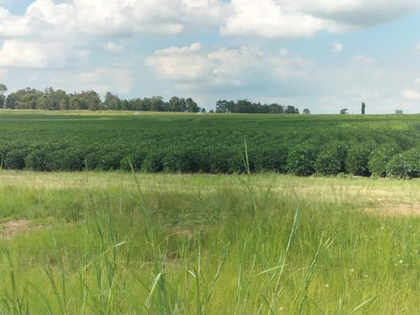 130 ha Farm