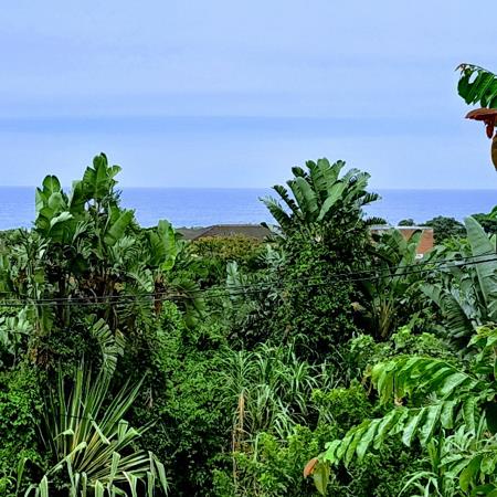 3 269 m² Land