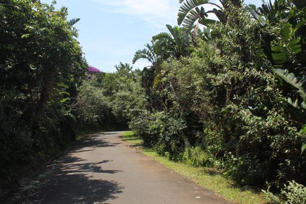 1 310 m² Land