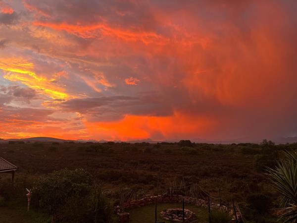 7.8 ha Agricultural Holding