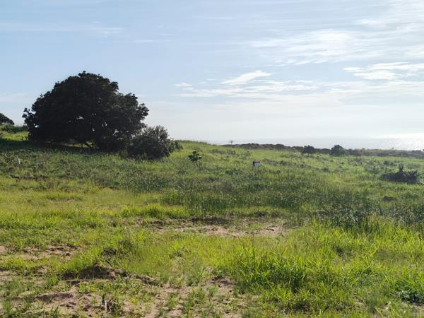 1 248 m² Land