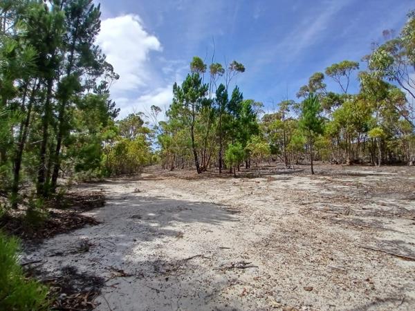 10.7 ha Land