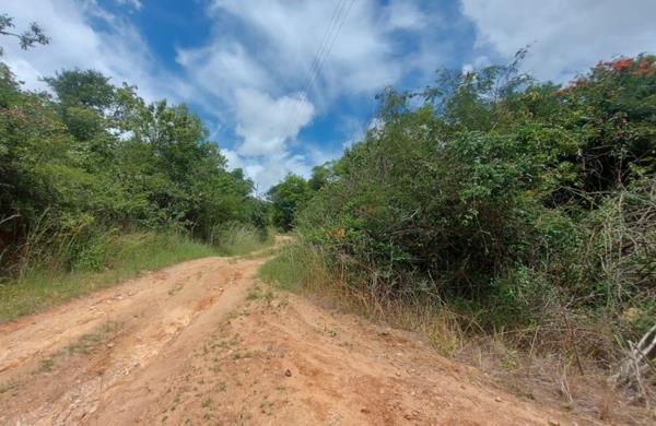 120 ha Land