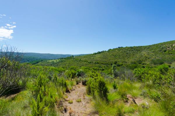 4 619 m² Land
