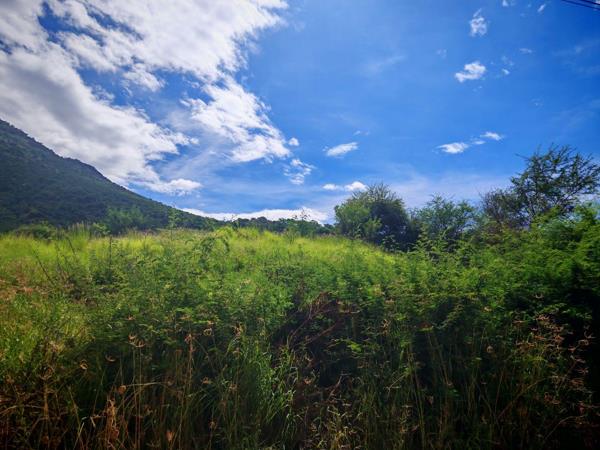 1.8 ha Land