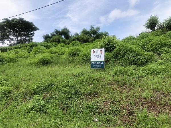 1.3 ha Land