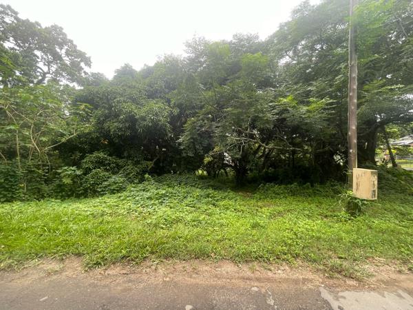 3 211 m² Land