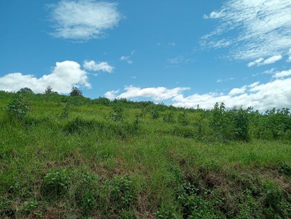 928 m² Land