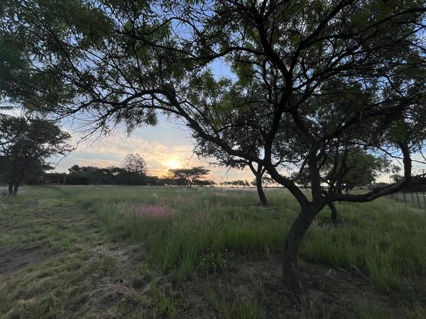 1 ha Land
