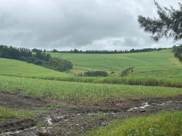 475 ha Farm