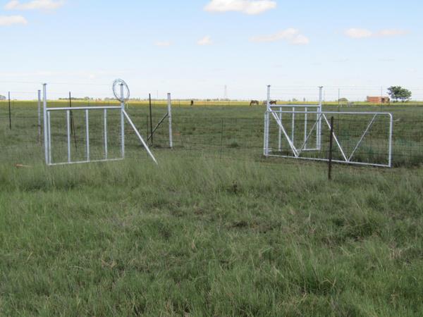 4 ha Smallholding