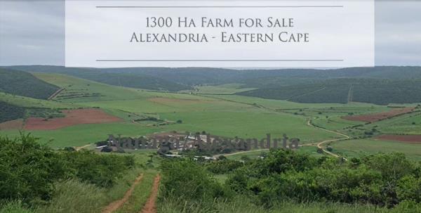 1 300 ha Farm
