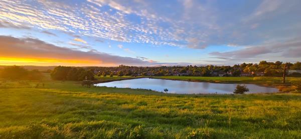 878 m² Land