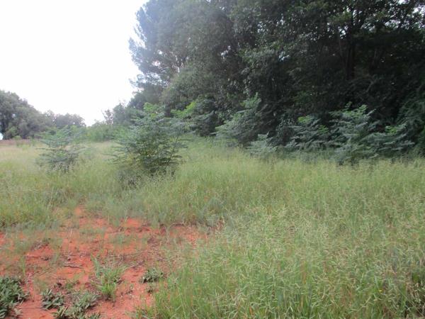2 975 m² Land