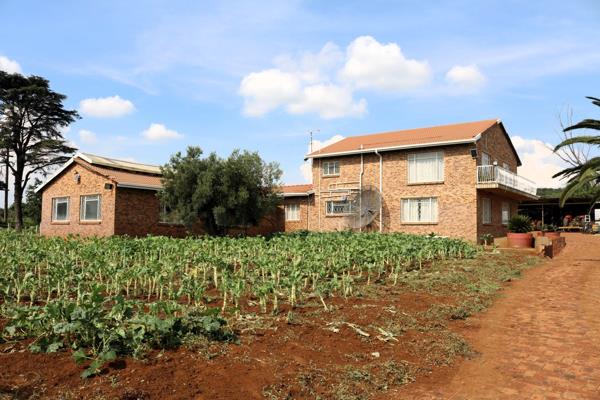 20 ha Smallholding