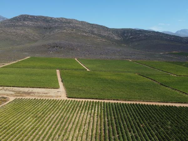 228 ha Farm with House