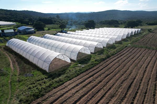 42.7 ha Farm