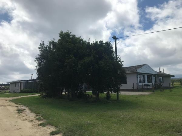 105 ha Farm
