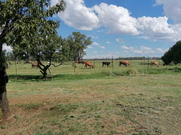 68 ha Farm