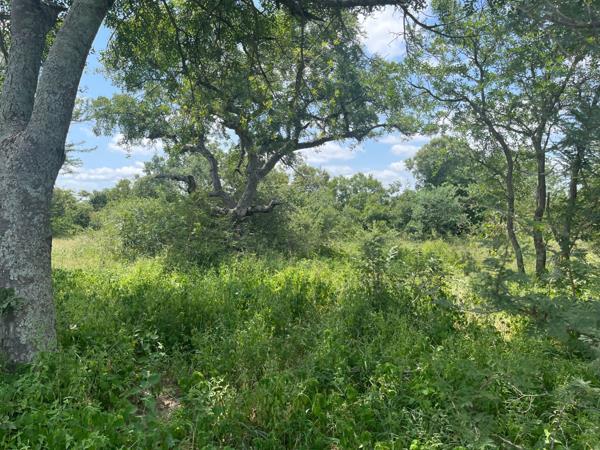 1.2 ha Land