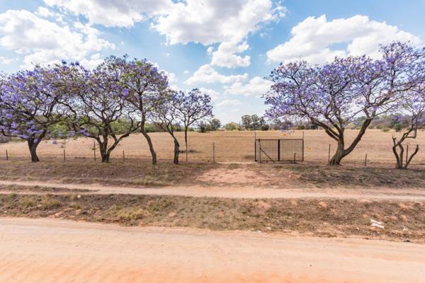 2 ha Smallholding