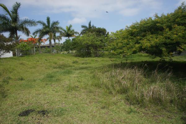 994 m² Land
