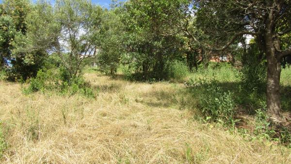 1 247 m² Land