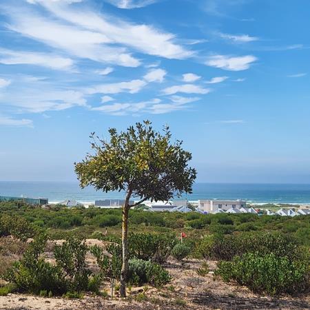464 m² Land