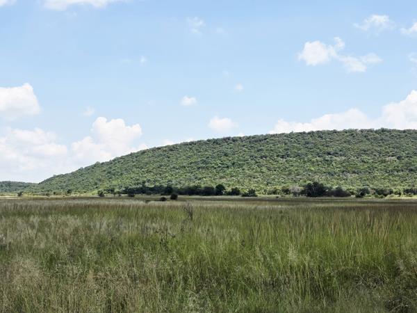 100 ha Farm