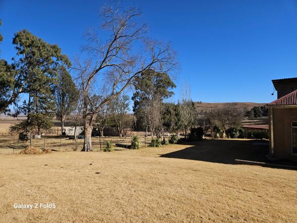 34.6 ha Agricultural Holding