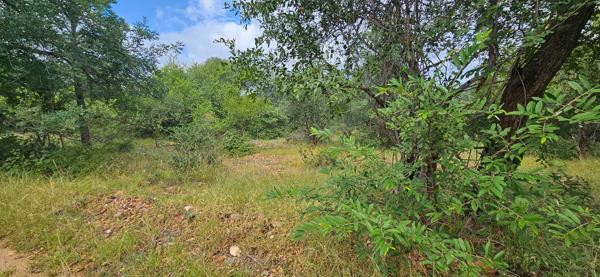 2 423 m² Land
