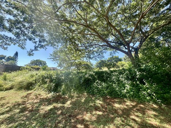 1 100 m² Land
