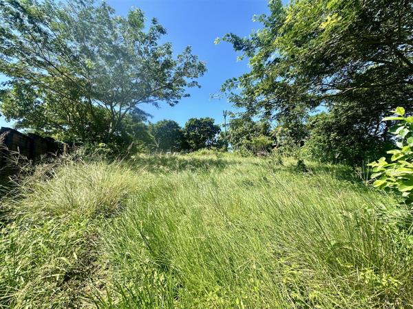 1 100 m² Land