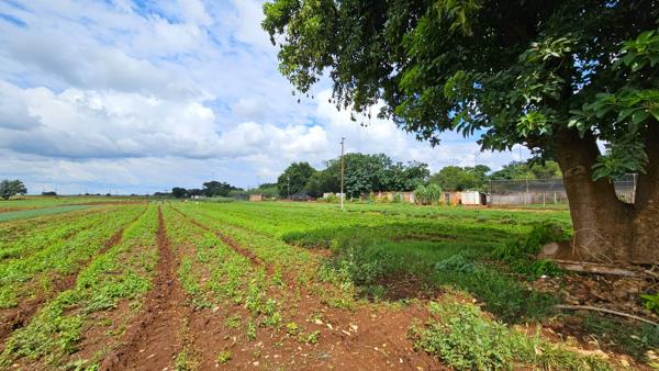 8.6 ha Farm