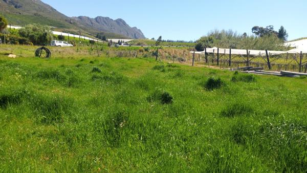 525 m² Land