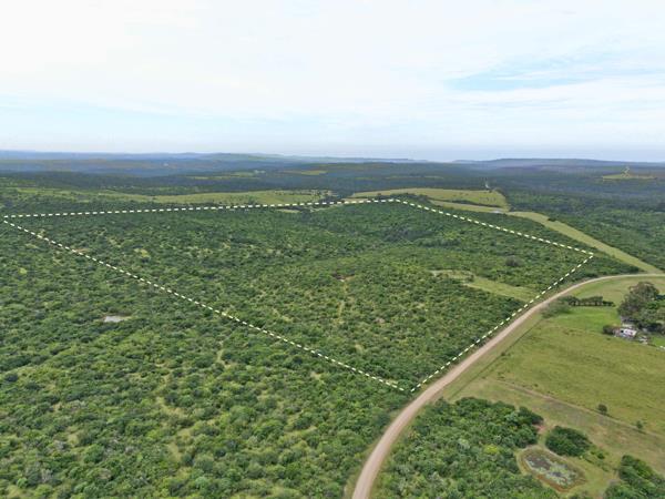 60.6 ha Land