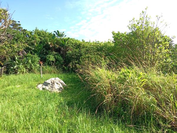 2 017 m² Land