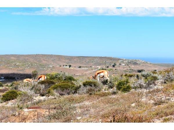 655 m² Land