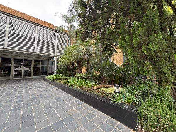50 m² Commercial space