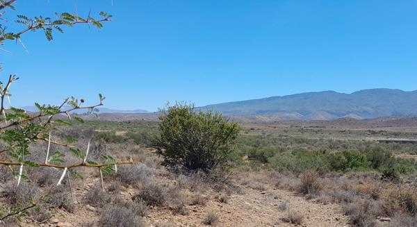 87 ha Farm with House